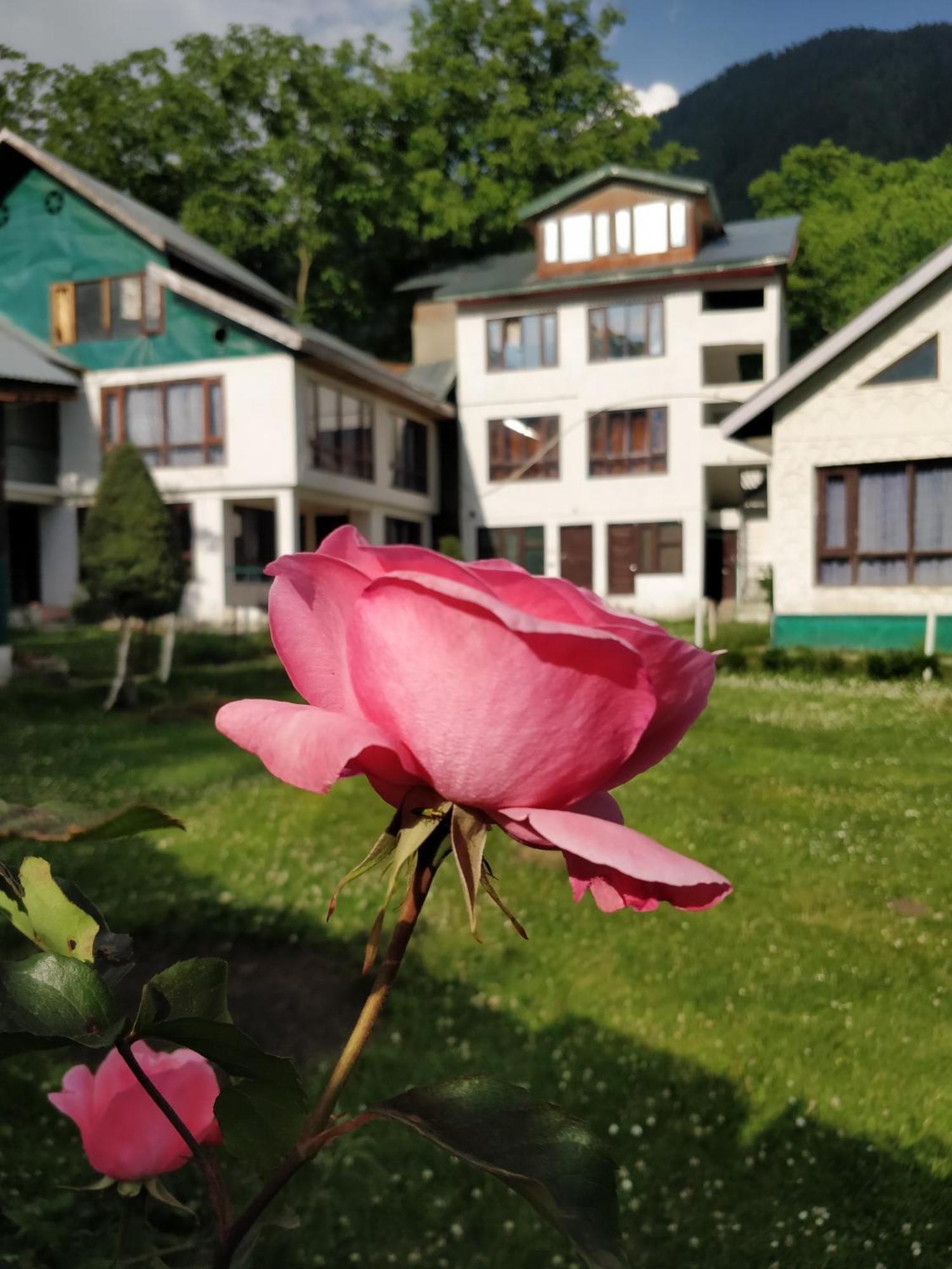 The K2 Alpine Hotel Pahalgām Exterior foto
